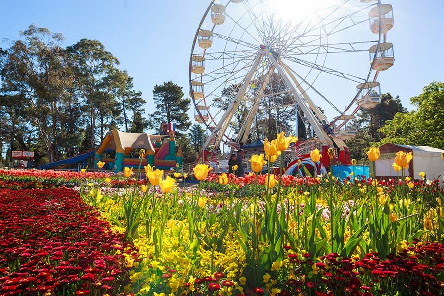 Floriade