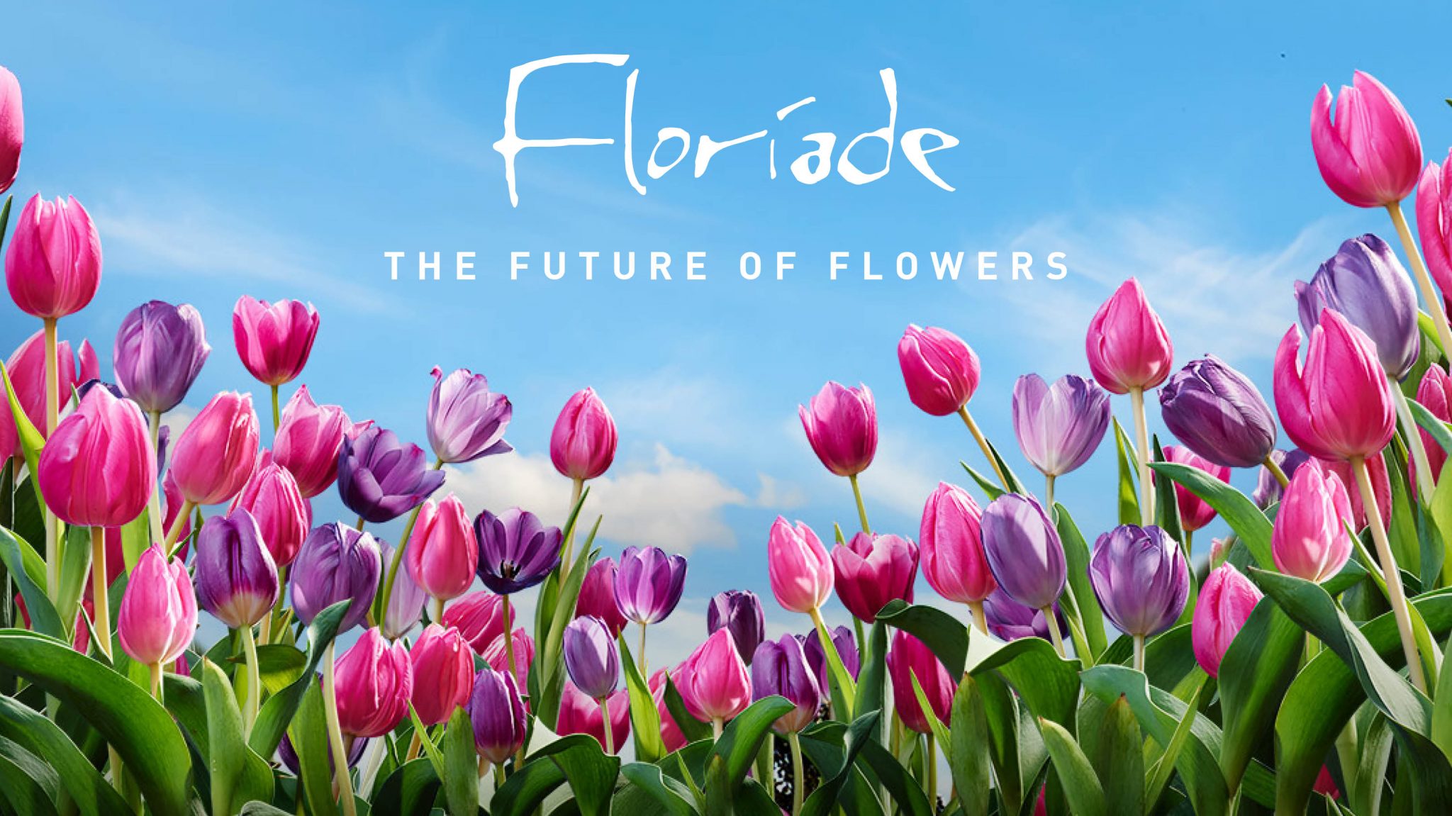 website-tile-future-of-flowers-2048x1151